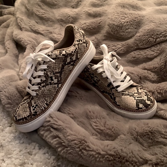 Steve Madden Santana Sneakers - Picture 1 of 5